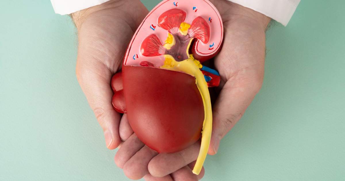 Cólico renal: Novedades diagnósticas: el diagnóstico actual del cólico ...